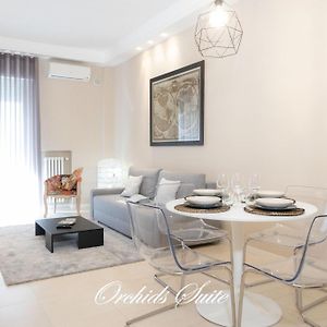 Orchids Suite